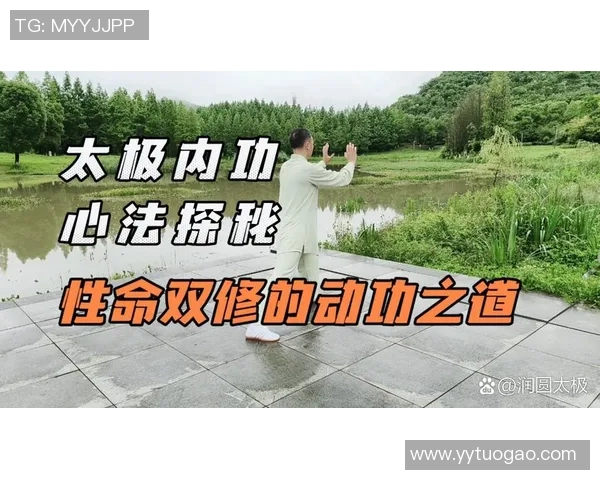 太极拳书的智慧与修炼之道探讨与实践指南 太极拳书的智慧与修炼之道探讨与实践指南