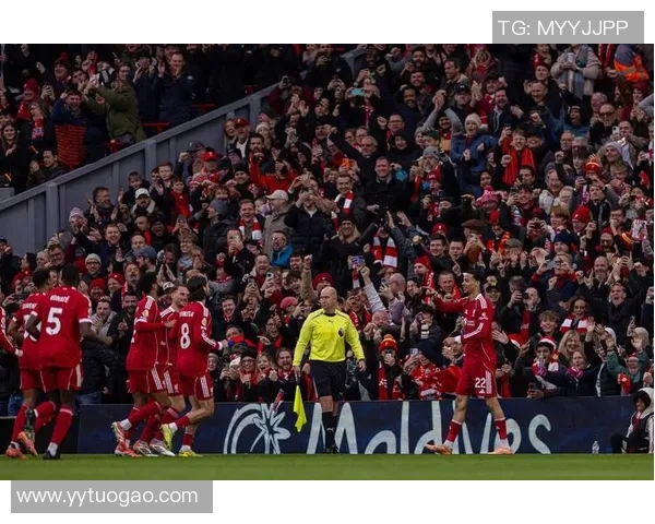 英超球队纷纷备战新赛季，利物浦希望延续冠军辉煌